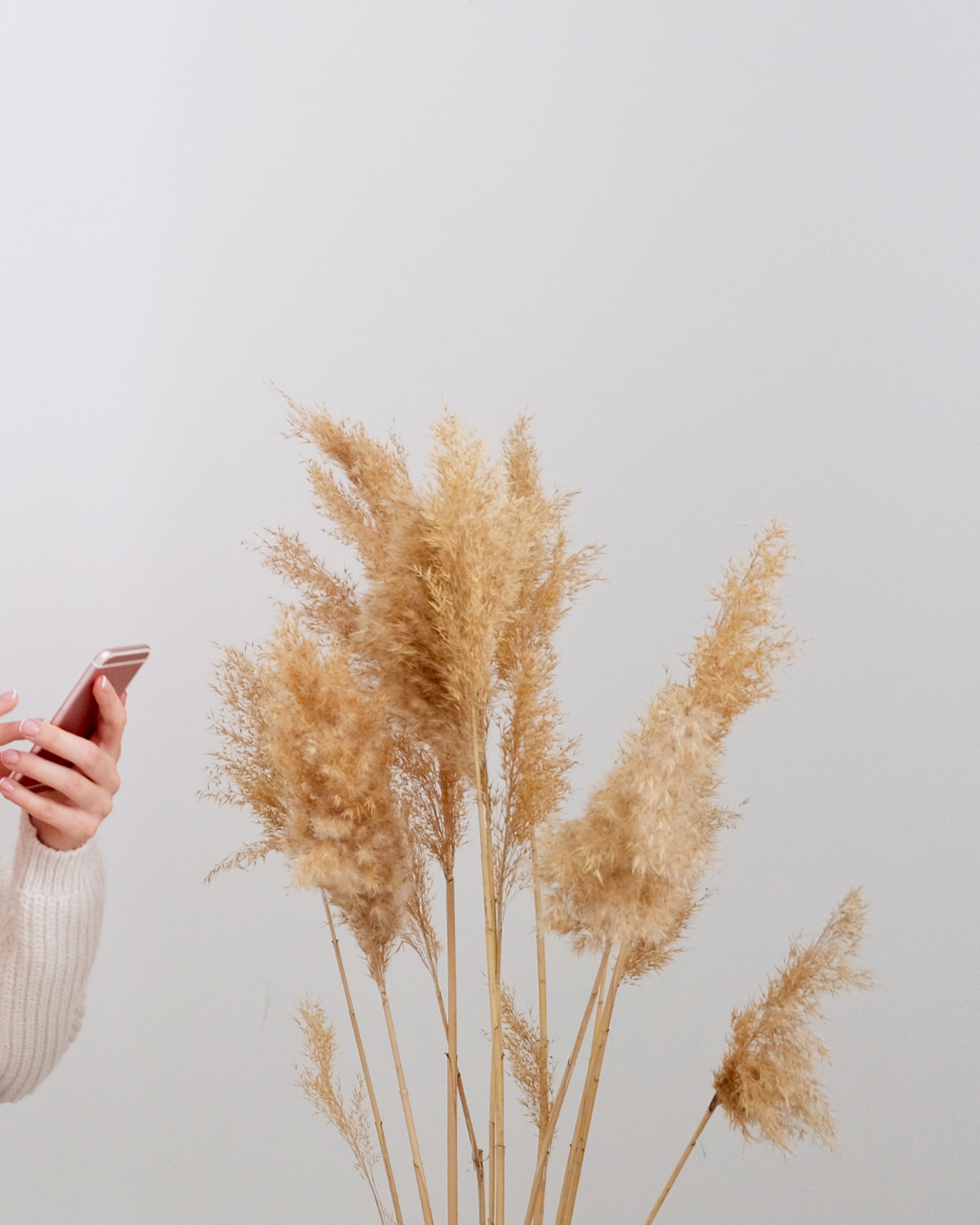 The Simplest Wellness Marketing System You’ll Ever Use